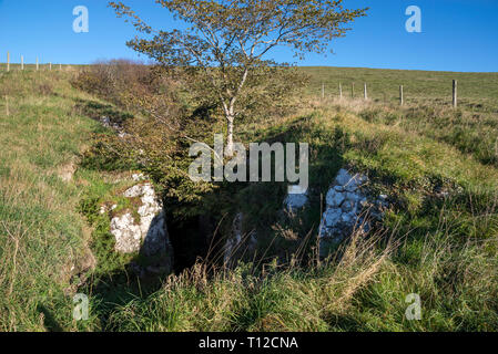 Eldon Hole, a deep chasm in the limestone landscape near Peak Forest in the Peak District, Derbyshire, England. Stock Photo