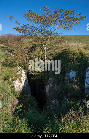 Eldon Hole, a deep chasm in the limestone landscape near Peak Forest in the Peak District, Derbyshire, England. Stock Photo