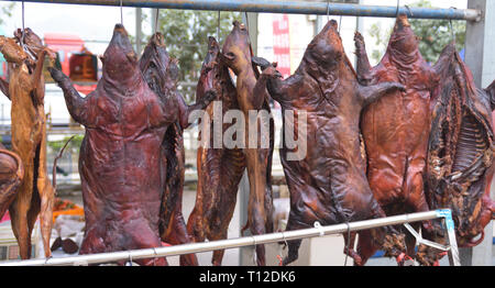 Hog Badger (Arctonyx collaris) and cat (probably Leopard Cat, (Prionailurus bengalensis) meat for sale in a chinese wildlife market Stock Photo