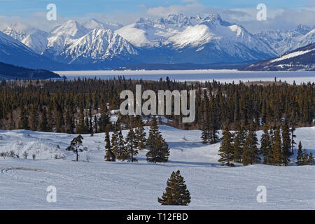 Winter landscape of mountains, lakes and forest in Yukon, near Carcross Stock Photo