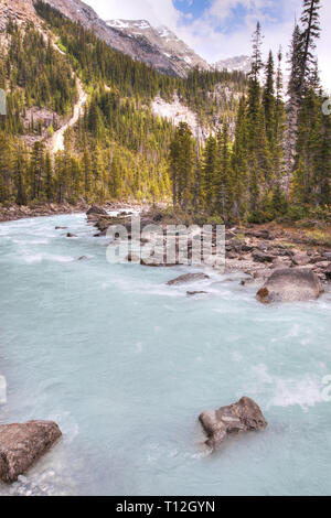 Glacier-fed waters from Takakkaw Falls flow into Kicking Horse River through Yoho National Park near Field, BC, in the Canadian Rockies of Alberta nea Stock Photo