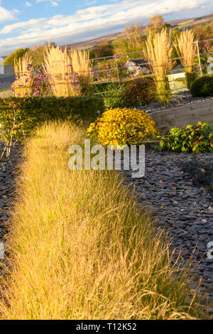 Autumn colour in beautiful private garden - stylish, contemporary design, landscaping, planting & slate chips on border (rural Yorkshire, England, UK) Stock Photo