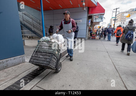 A Chinese worker in an apron transporting bags of food on Main St. In Chinatown, Flushing, New York City. Stock Photo