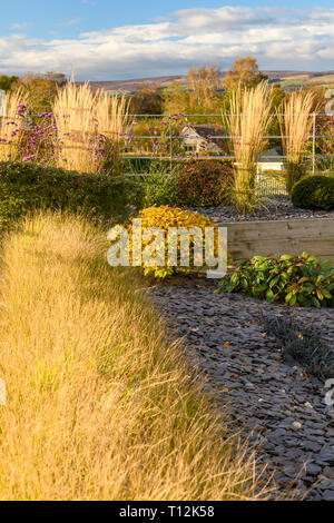 Autumn colour in beautiful private garden - stylish, contemporary design, landscaping, planting & slate chips on border (rural Yorkshire, England, UK) Stock Photo