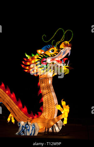 Chinese dragon lantern installation illuminated in bright warm lights at night Stock Photo