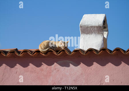 A red-haired cat sleeps in the sun on the tiles of a roof of a typical Mediterranean house with a traditional shaped chimney Stock Photo