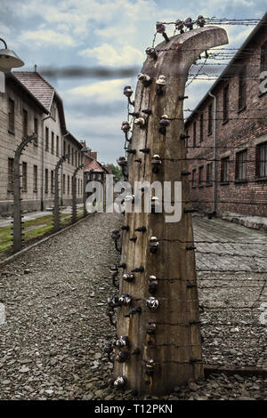 Barbed wire fencing at Auschwitz Concentration Camp Stock Photo