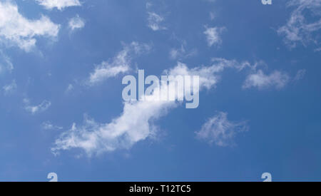 backlit feathery puffy clouds floating in a pure blue sky Stock Photo