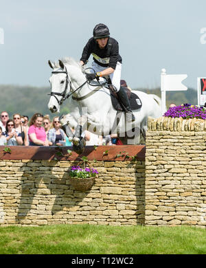 Richard Jones and ALFIES CLOVER during the cross country phase, Mitsubishi Motors Badminton Horse Trials, Gloucestershire, 2018 Stock Photo