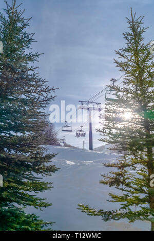 Ski lifts viewed between lush trees in Park City. Ski lifts viewed between lush trees in Park City, Utah. Sunlit snow and cloudy blue sky can also be  Stock Photo