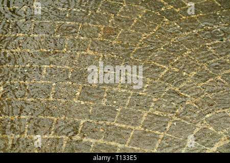 sett stones in circular pattern on a sidewalk on rainy day Stock Photo