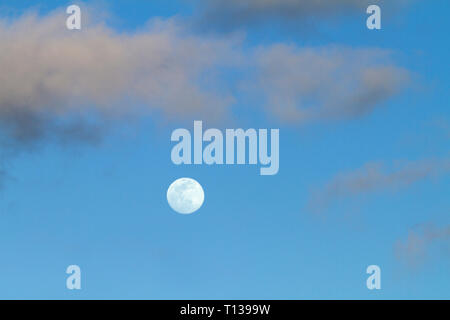 Full moon in twilight time in the clear blue sky with some light gray clouds Stock Photo