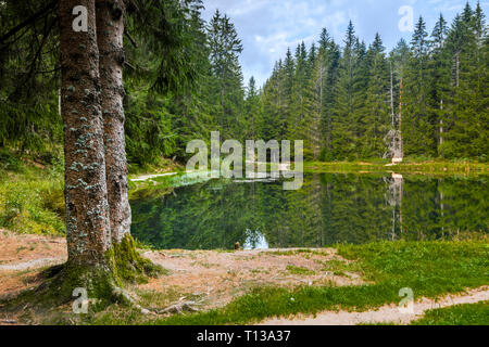artificial lake Sandsee in the Northern Black Forest, community Bühl, Germany, formerly water reserve for timber transport Stock Photo