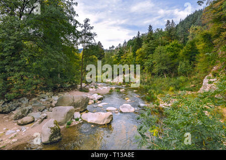 river through the Northern Black Forest, Germany, river Murg and the Murg valley near Forbach Stock Photo