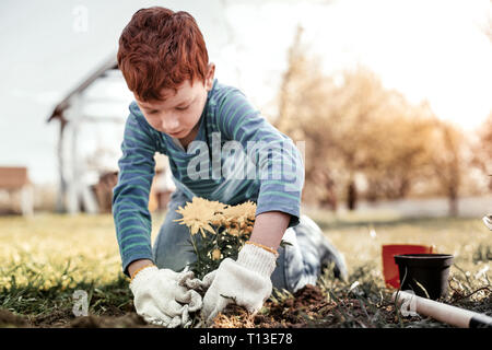 Small boy in blue sweater using large white gloves Stock Photo