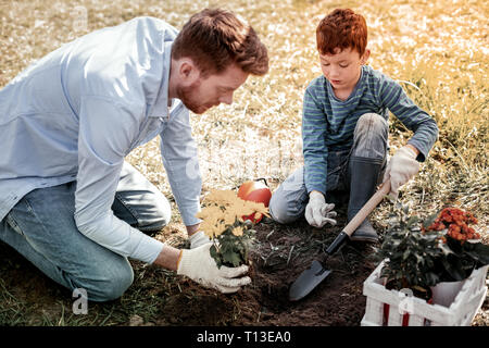 Father and small son buying seedling in special garden store Stock Photo