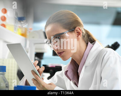 Scientist adding data to a tablet during an experiment in the laboratory Stock Photo