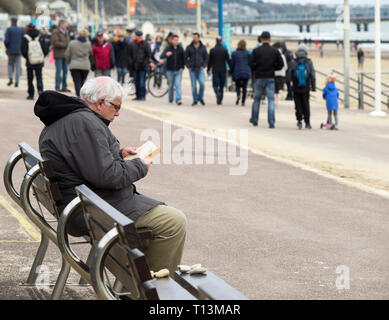 White-haired man sitting on a bench on the promenade at Bournemouth reading a book with people walking nearby. Stock Photo