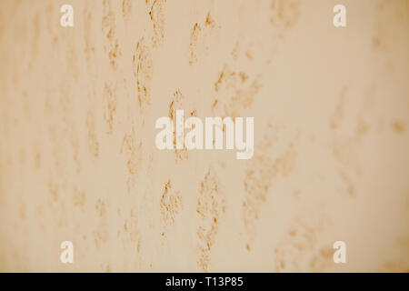 rock concrete abstract neutral beige wall background. Stock Photo