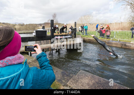 Maryhill, Glasgow, Scotland, UK - 23 March 2019: UK weather - determined competitors braving 8 degree water temperatures at the Red Bull Neptune Steps swim/climb adventure endurance race at Maryhill Locks, Glasgow.  The annual extreme event involves swimming 400m of cold canal water and climbing 18 metres over 7 canal lock gate obstacles Stock Photo