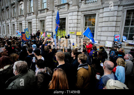 A large crowd outside the cabinet office, with many placards, on Whitehall, The People's Vote March, London, March 2019 Stock Photo