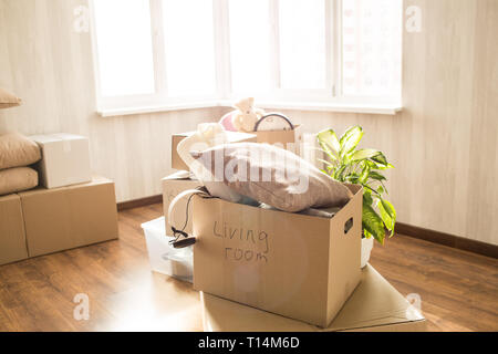Picture of overfull box. There are different clothes, stuff and other things in it. Also these is a green domestic plant behind the box. These things  Stock Photo