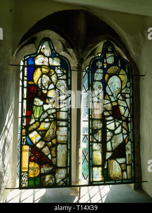Panels of late Medieval (C15th) stained glass fragments removed from E window of Tremeirchion church, Wales, in 1858/9 & placed in the vestry windows Stock Photo
