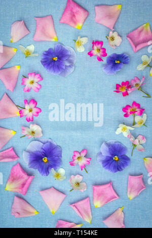 Beautifuil, natural frame with violet pansies and pink roses on blue, fabric background Stock Photo