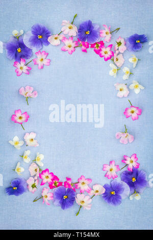 Beautifuil, natural frame with violet pansies and pink roses on blue, fabric background Stock Photo