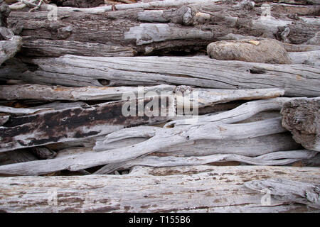 Rustic weathered grey driftwood washed up on a beach making a natural texture background with copy space Stock Photo