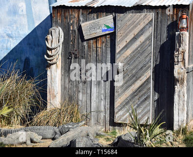 Primitive Gator Swamp Shack Stock Photo - Alamy