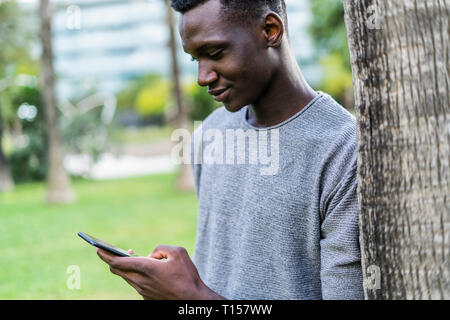 Young man leaning on tree trunk in a park, using smartphone Stock Photo