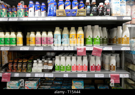 A variety of kefir, Benecol & health drinks in plastic bottles on a refrigeration shelf at Waitrose supermarket in London England UK  KATHY DEWITT Stock Photo