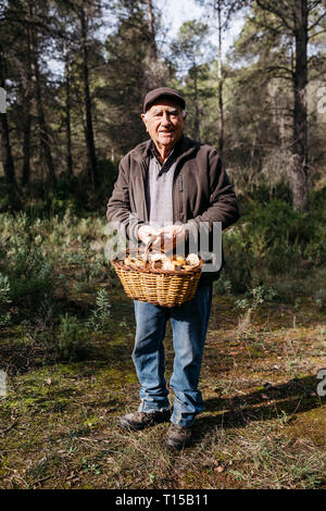 Portrait of smiling senior man holding basket full of mushrooms in the forest Stock Photo