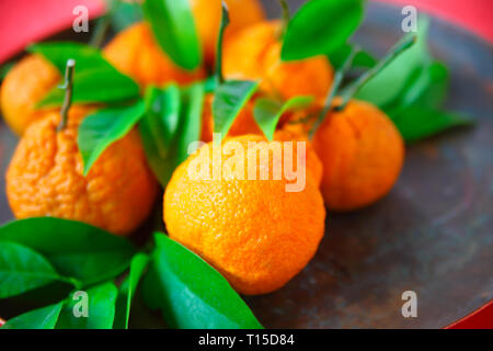 Fresh tangerines with room for text Stock Photo