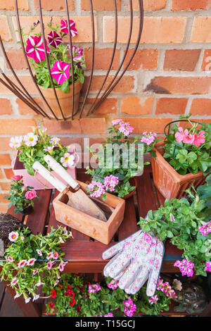 Various potted spring and summer flowers, gardening tools and gloves Stock Photo