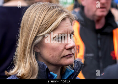 Westminster, London, UK. 23rd March 2019. Peoples March. Thousands of people gather in London to demand a Peoples vote on the final decision as too whether or how the United Kingdom leaves the European Union. The marchers including a number of leading politicians and celebrities marched from Marble Arch to Parliament square gardens opposite the Palace of Westminster where the crowds are addressed by a number of prominent speakers. Credit: Newspics UK South/Alamy Live News Stock Photo