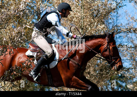 Raeford, North Carolina, USA. 22nd Mar, 2019. March 23, 2019 - Raeford, N.C., USA - WILLIAM COLEMAN of the United States riding OFF THE RECORD competes in the cross country CCI-4S division at the sixth annual Cloud 11-Gavilan North LLC Carolina International CCI and Horse Trial, at Carolina Horse Park. The Carolina International CCI and Horse Trial is one of North America's premier eventing competitions for national and international eventing combinations, hosting International competition at the CCI2*-S through CCI4*-S levels and National levels of Training through Advanced. (Credit Image: Stock Photo