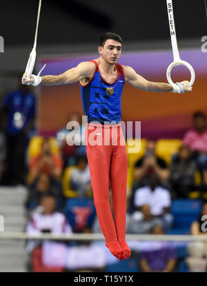 Doha, Qatar. 22nd Mar, 2019. Artur Tovmasyan of Armenia competes during the men's rings final of the 12th FIG Artistic Gymnastics World Cup in Doha, Qatar, on March 22, 2019. Credit: Nikku/Xinhua/Alamy Live News Stock Photo