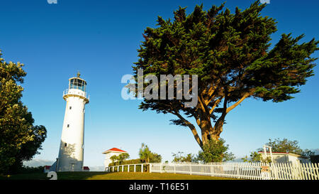Lighthouse tower and huge macrocarpa tree on Tiritiri Matangi Island open nature reserve, New Zealand. Stock Photo