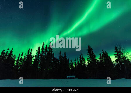 Aurora borealis at Chena Lakes in Alaska Stock Photo