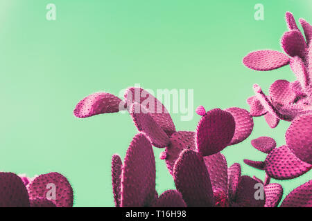 pink Prickly Pear Cactus on green background, creative pop art style with pastel shades, copy space for text Stock Photo