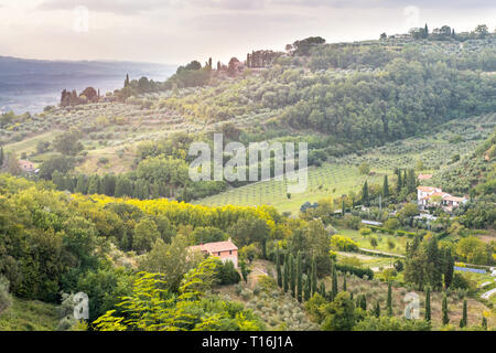 Chiusi, Italy Tuscany landscape of rolling hills with vineyard winery villa with olive grove in town village during sunny summer with trees in vintage Stock Photo