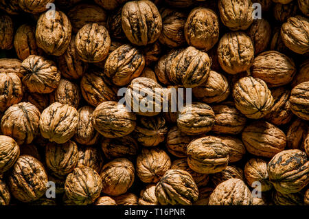 Walnuts in shells Stock Photo