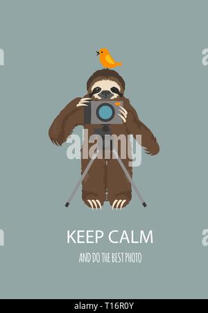 The story of one sloth. Traveling, holiday. Funny cartoon sloths in ...