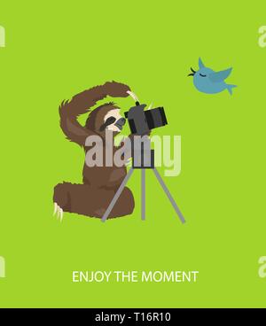 The story of one sloth. Traveling, holiday. Funny cartoon sloths in ...
