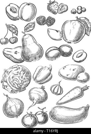 Creative conceptual vector set. Sketch hand drawn fruits vegetables pear cherry apple strawberry carrot tomato illustration, engraving, ink, line art, Stock Vector