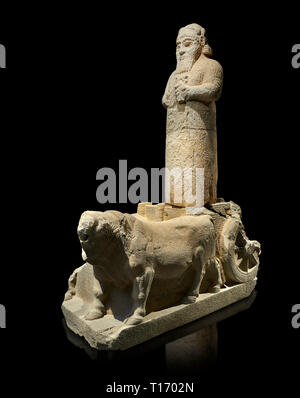 Hittite monumental statue probably of Tarhunda, the Storm God, standing on a cart being pulled by two bulls. Adana Archaeology Museum, Turkey. Against Stock Photo