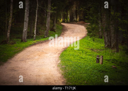 Emplty curved sand forest path in summer. Trees on sides of road. Stock Photo