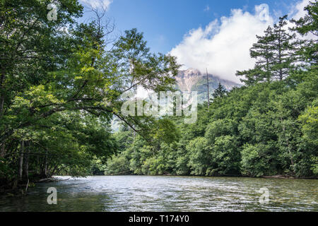 It is the prime attraction of the Chubu SangakuNational Park Stock Photo